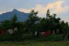 Scenery